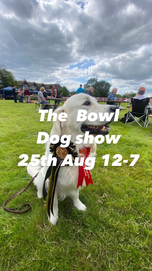 Calling all dog owners 🐶🐕🐾
FUN DOG SHOW at The Bowl Inn
Bank Holiday Monday 25th August
BBQ all afternoon
OUR RESTAURANT WILL ALSO SERVE FOOD FROM 12-7PM
Judge - Lucy from Waggy’s Dog Grooming
Class 1: Best Bitch
Class 2: Best Dog
Class 3: Best Puppy
Class 4: Best 2/3 Years
Class 5: Best 4 and Over
Class 6: Best Veteran 7 & Over

CHAMPIONSHIP
Class 7: Best Jack Russell
Class 8: Best Boxer
Class 9: Best Working Class 10: Non working
Class 11: Gun Dog Class 12: Toy Dog
Class 13: Mixed Dog
Class 14: Best Eyes
Class 15: Best Coat
Class 16: Waggiest Tail
Class 17: Dog the Judge wants to take home
Class 18: Best Local Dog
Class 19: Best Long Coated
Class 20: Best Smooth Coated
Class 21: Best Trick Class
Class 22: Child Handler Class
Class 23: Rescue Dog
Class 24: Dog like its owner
CHAMPIONSHIP BEST IN SHOW

£3.50 a class, enter on the day from 12pm. Starts at 1pm.
Cash only. Rosettes sponsored by The Bowl Inn
All enquiries contact Ann Martin: poshnags@aol.com or 07701 09094
Donations go to the Pilgrims Hospice and Kent and Canterbury Renal Unit in memory of Keith Martin